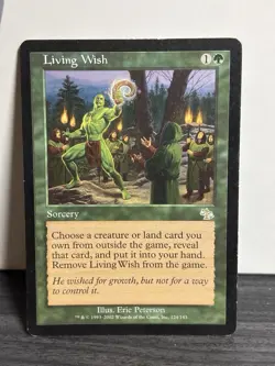 Living Wish Judgment 124/143 LP Regular - Image 1