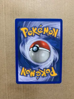 Cyndaquil 61/105 Neo Destiny - Common Pokemon Card - NM/Mint - Image 2