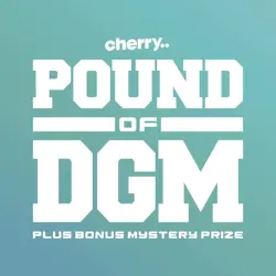 Pound of DGM Box - Over 400 Digimon Cards + Special Card & Booster Pack - Image 1