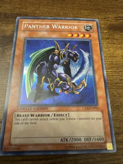 Panther Warrior CT2-EN006 2005 Collectors Tin Limited Edition NM - Image 2