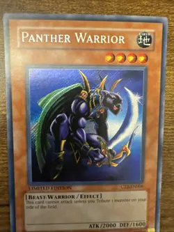 Panther Warrior CT2-EN006 2005 Collectors Tin Limited Edition NM - Image 3