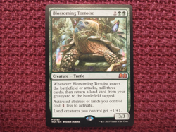 Blossoming Tortoise - Wilds of Eldraine - MTG Magic the Gathering - Image 1