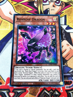 Roxrose Dragon liov-en009 1st Edition (NM) Super Rare Yu-Gi-Oh! - Image 1