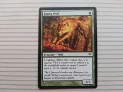 Magic: The Gathering - Dark Ascension ~ Common ~ Young Wolf - Image 1