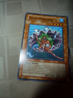 Toon Mermaid - SDP-023 - Common - Yugioh - Image 1