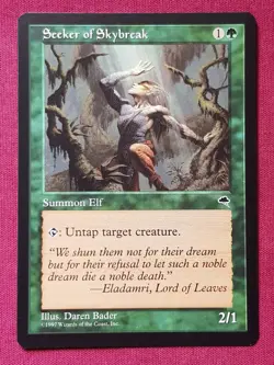Magic The Gathering TEMPEST SEEKER OF SKYBREAK green card MTG - Image 1