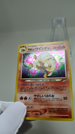 Light Arcanine No.059 Holo Neo Destiny 2001 Japanese Pokemon Card TCG EX LP - Image 2