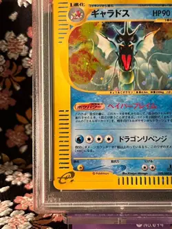 [PSA 8] Gyarados 028 088 Skyridge e Series Holo Japanese Pokemon Card - Image 5