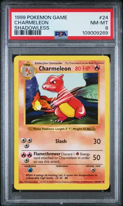 Pokemon Card Charmeleon 24/102 Shadowless Base Set 1999 PSA 8 NM-MT - Image 1