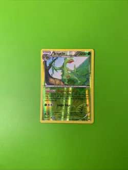 Sceptile 8/160 Primal Clash XY Reverse Holo Pokemon Card LP+ - Image 1