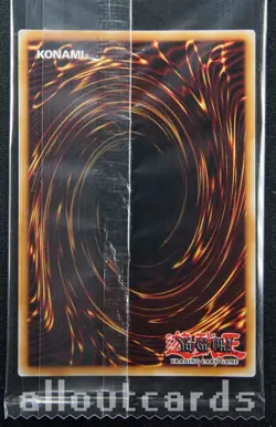 2024 Yu-Gi-Oh The Infinite Forbidden Token Akiza & Black Rose Dragon TKN5-EN008 - Image 2