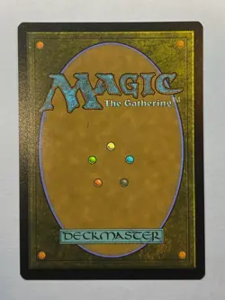 MTG - Secret Lair: Everyone's Invited - Adarkar Wastes - NM - Image 2