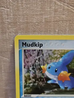 Pokemon Card Mudkip 018 Black Star Promo Holo Excellent Condition - Image 3