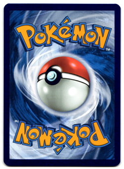 Brock's Scouting - 146/159 - 2025 Journey Together Pokemon Trainer Card NM - Image 2