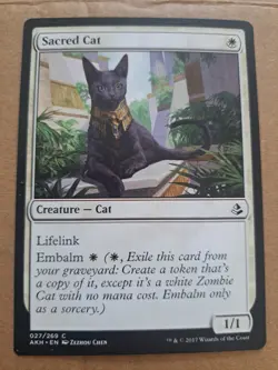 Magic the Gathering 027/269 Sacred Cat Common Regular Amonkhet - Image 1