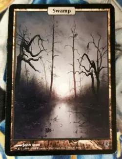 Swamp MTG Unhinged Common Land Full-Art Heavily Played x1 JS20 - Image 1