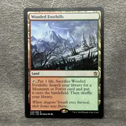 Wooded Foothills - Khans of Tarkir (KTK) #249 LP Non-Foil - Image 1