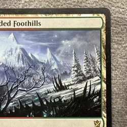 Wooded Foothills - Khans of Tarkir (KTK) #249 LP Non-Foil - Image 3