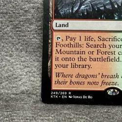 Wooded Foothills - Khans of Tarkir (KTK) #249 LP Non-Foil - Image 4