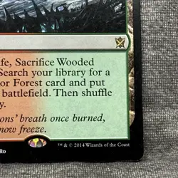 Wooded Foothills - Khans of Tarkir (KTK) #249 LP Non-Foil - Image 5