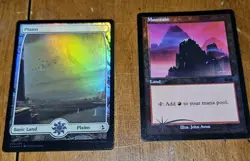 248x MTG Basic Land Lot - Plains Island Swamp Mountain Forest - Vintage to... - Image 4