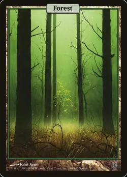 1x MP FULL ART Forest MTG Unhinged SV - Image 1