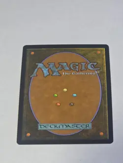 Freed from the Real Masters 25 Regular Lp - Image 4