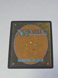 Freed from the Real Masters 25 Regular Lp - Image 5