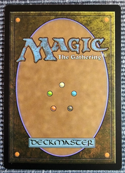 2017 Magic the Gathering Amonkhet - Prowling Serpopard 180/269 - Raw NM - Image 2