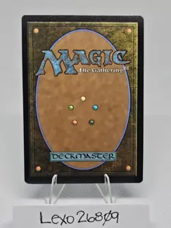 Silent Clearing (Borderless) Universes Beyond: Assassin's Creed MTG / NON-FOIL - Image 2