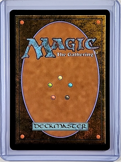 2022 MTG Magic the Gathering Secret Lair Drop Borderless #456 Glacial Fortress - Image 2