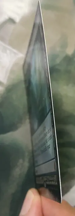 1x Misty Rainforest, Foil, Zendikar Expeditions NM, MTG - Image 5