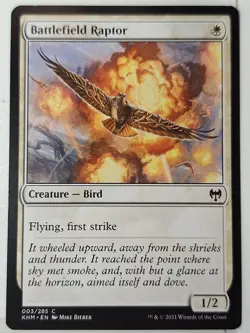 Battlefield Raptor - Kaldheim - Magic the Gathering MTG Nice! - Image 1