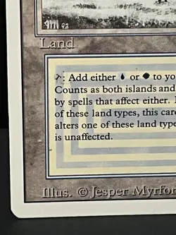 MTG x1 Tundra Dual Land Revised Rare (LP) - Image 4