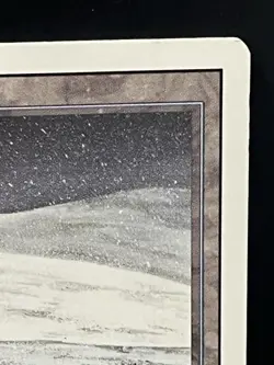 MTG x1 Tundra Dual Land Revised Rare (LP) - Image 5