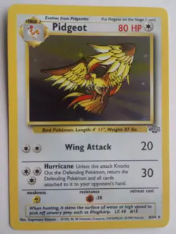 Pidgeot Holo Rare 8/64 | Jungle Set | Vintage WOTC 1999 Pokemon Card | Near Mint - Image 1