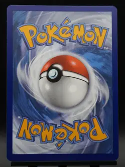 9 Cards Eevee Evolution SWSH Black Star Promos Set Pokemon Cards NM/LP - Image 4
