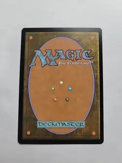 MTG - Yavimaya Coast (Borderless) Dominaria United Regular Rare #382 - Image 3