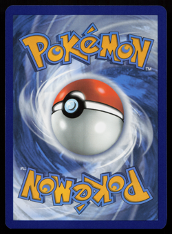 Pidgeotto 208/197 Obsidian Flames Illustration Rare Near Mint Pokemon Card - Image 2