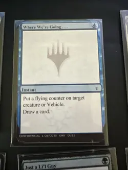 MagicCon Chicago 2025 - Unknown Event Playtest Cards - Set Of 11 - Image 4