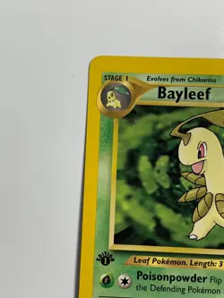 * Pokemon TCG Bayleef Neo Genesis 28/111 Regular 1st Edition Uncommon - Image 4