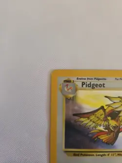 Pokemon TCG Pidgeot Holo Card Jungle 24/64 Unlimited Rare - Image 2