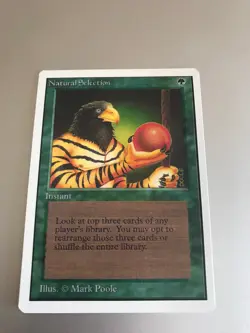 Natural Selection - Unlimited Edition (2ED) - LP - MTG *Combined Shipping - Image 2