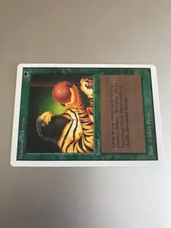 Natural Selection - Unlimited Edition (2ED) - LP - MTG *Combined Shipping - Image 3