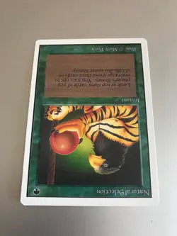 Natural Selection - Unlimited Edition (2ED) - LP - MTG *Combined Shipping - Image 4