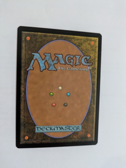 Sunken Ruins Shadowmoor MTG NM Free shipping with tracking - Image 2