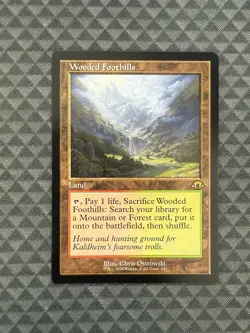 MTG Wooded Foothill #441 Retro Frame Rare Ravnica Remastered (RVR) - Image 1