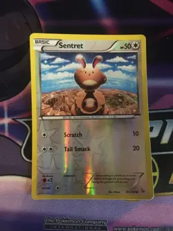 Sentret - 81/106 - Reverse Holo - XY Flashfire Pokemon - NM - Image 1
