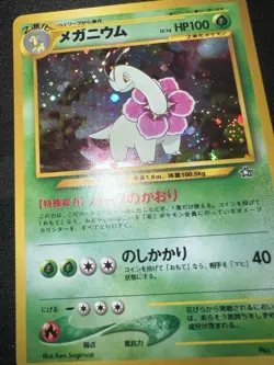 Pokemon Card Collection Lot Vintage Holos Wotc Vintage Starters NEO Holos - Image 4