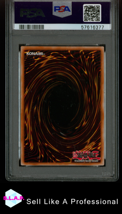 TOON MERMAID SPELL RULER YU-GI-OH! SPELL RULER REPRINT 2010-2017 072 PSA 8 - Image 2